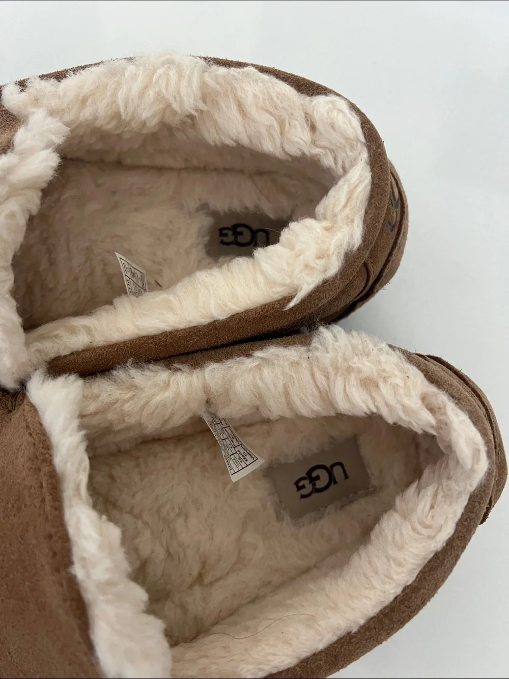 UGG classic suede